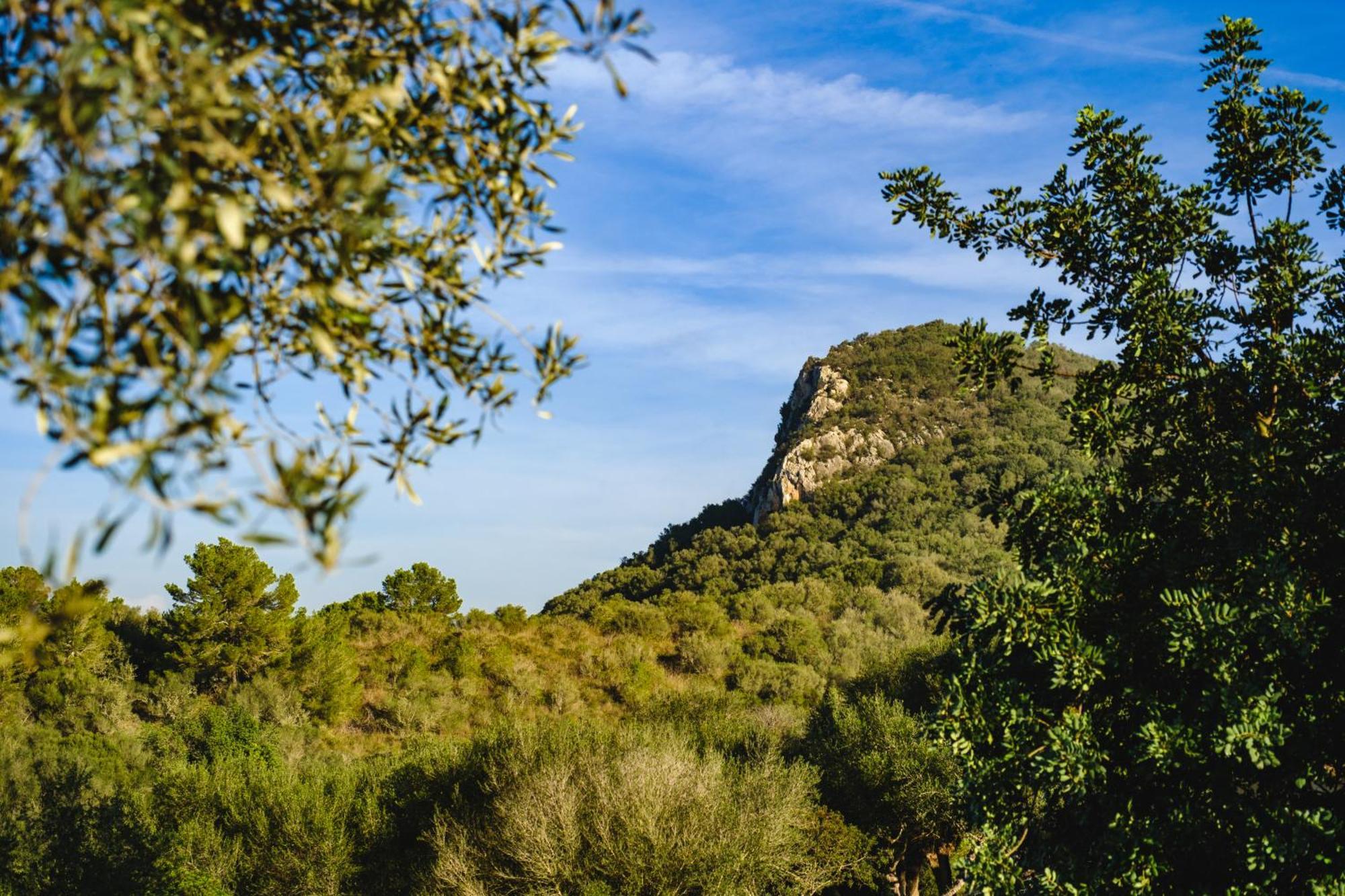 Finca Sa Bastida Luxury Retreat & Spa Adults Only Sant Joan Екстериор снимка