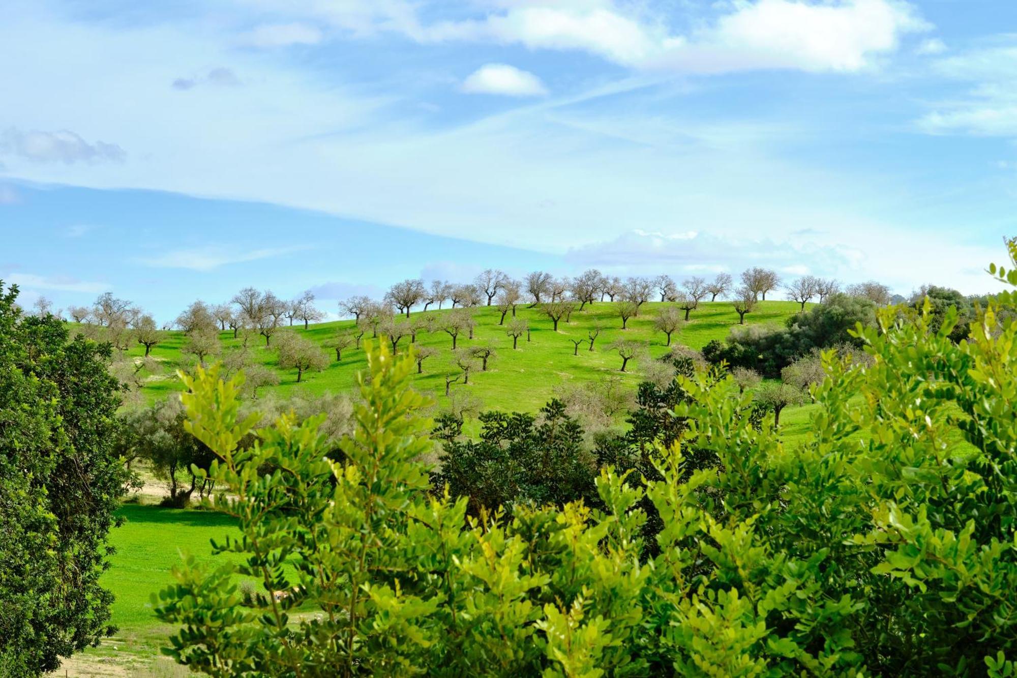 Finca Sa Bastida Luxury Retreat & Spa Adults Only Sant Joan Екстериор снимка